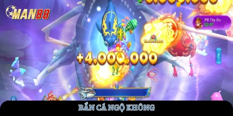 ban-ca-ngo-khong