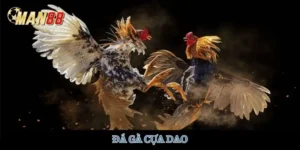 da-ga-cua-dao