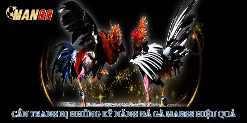 Trang bị những kỹ năng đá gà giúp người chơi chiến thắng