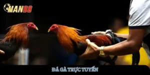 da-ga-truc-tuyen