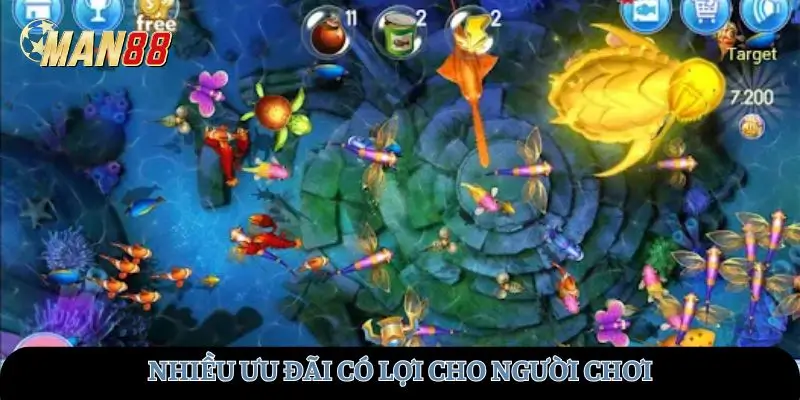Nhiều ưu đãi có lợi 